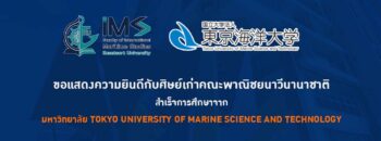 ดดด